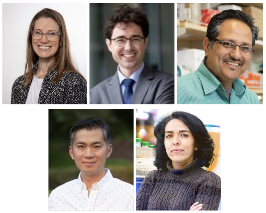 Headshot photographs arranged in grid for the UCSF CIRM Foundation Awardees