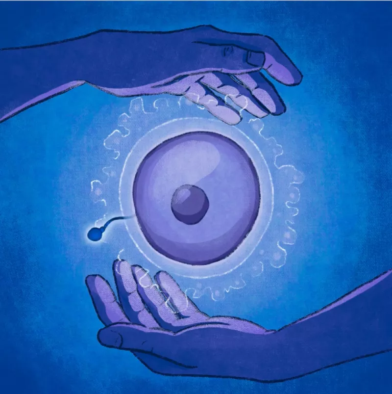Animation of two hands in purple holding an egg with a sperm off to left side by Farah Hamade