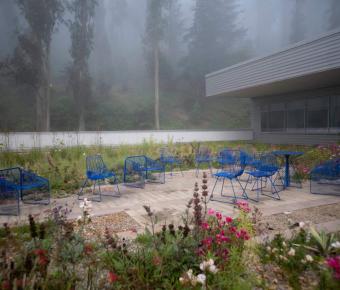 Foggy rooftop scene against a blurry forrest background